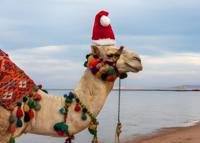 Viajes a Egipto en Fin de Año